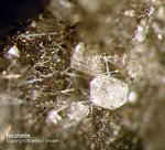 Eifel Mineralien Rother Kopf Nephelin