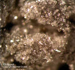 Eifel Mineralien Rother Kopf Phillipsit
