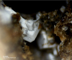 Eifel Mineralien Rother Kopf Sodalith