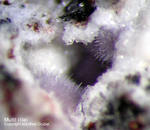 Eifel Mineralien Bellerberg Mullit lila