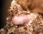 Eifel Mineralien Bellerberg Mullit lila