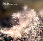 Eifel Mineralien Bellerberg Mullit lila