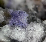 Eifel Mineralien Bellerberg Mullit lila