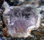Eifel Mineralien Bellerberg Mullit lila