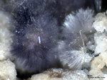 Eifel Mineralien Bellerberg Mullit lila