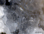 Eifel Mineralien Rother Kopf Willhendersonit