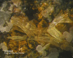 Eifel Mineralien Rother Kopf Götzenit