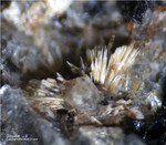 Eifel Mineralien Rother Kopf Götzenit