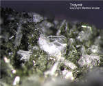 Eifel Mineralien Rothenberg Tridymit