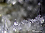 Eifel Mineralien Schellkopf Calcit