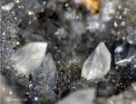 Eifel Mineralien Schellkopf Calcit