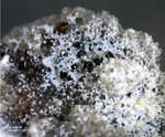 Eifel Mineralien Schellkopf Gonnardit