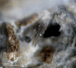 Eifel Mineralien Schellkopf Nephelin