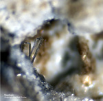 Eifel Mineralien Schellkopf Nephelin