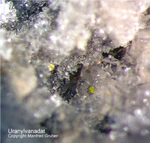 Eifel Mineralien Schellkopf Uranylvanadat