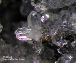 Eifel Mineralien Schellkopf Phillipsit