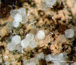 Eifel Mineralien Schellkopf Phillipsit