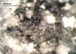 Eifel Mineralien Schellkopf Phillipsit