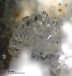Eifel Mineralien Schellkopf Phillipsit