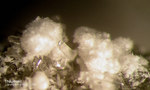 Eifel Mineralien Schellkopf Thaumasit
