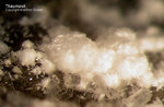 Eifel Mineralien Schellkopf Thaumasit