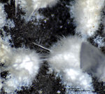 Eifel Mineralien Schellkopf Thaumasit