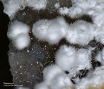 Eifel Mineralien Schellkopf Thaumasit