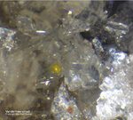 Eifel Mineralien Schellkopf Vandermeerscheit