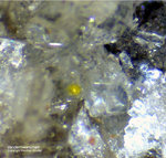 Eifel Mineralien Schellkopf Vandermeerscheit