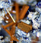 Eifel Mineralien Wannenköpfe Amphibol