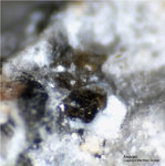 Eifel Mineralien Wannenköpfe Andradit
