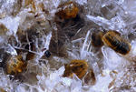Eifel Mineralien Wannenköpfe Korund