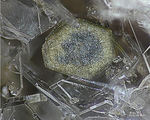 Eifel Mineralien Wannenköpfe Korund