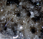 Eifel Mineralien Wannenköpfe Leucit