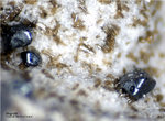 Eifel Mineralien Wannenköpfe Magnetit