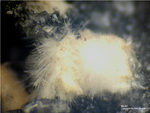 Eifel Mineralien Wannenköpfe Mullit