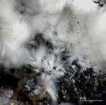 Eifel Mineralien Wannenköpfe Mullit