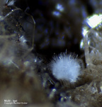 Eifel Mineralien Wannenköpfe Mullit