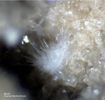 Eifel Mineralien Wannenköpfe Mullit