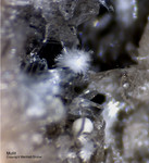 Eifel Mineralien Wannenköpfe Mullit