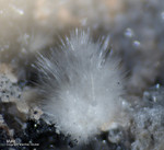 Eifel Mineralien Wannenköpfe Mullit