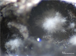 Eifel Mineralien Wannenköpfe Mullit