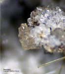 Eifel Mineralien Wannenköpfe Nephelin