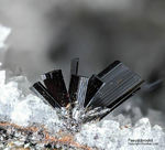 Eifel Mineralien Wannenköpfe Pseudobrookit