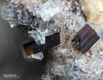 Eifel Mineralien Wannenköpfe Pseudobrookit