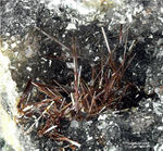 Eifel Mineralien Wannenköpfe Pseudobrookit