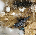 Eifel Mineralien Wannenköpfe Pseudobrookit