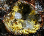 Eifel Mineralien Wannenköpfe Pseudobrookit