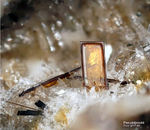Eifel Mineralien Wannenköpfe Pseudobrookit