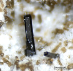 Eifel Mineralien Wannenköpfe Pseudobrookit